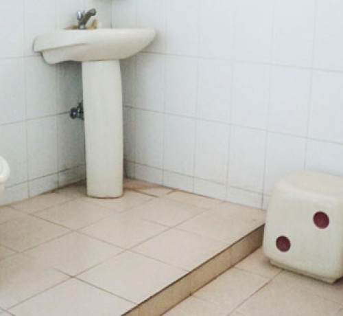 Cauvery Sannidhi for Indian Culture