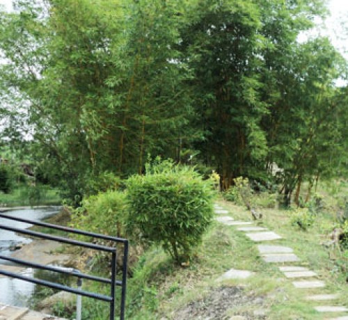 Cauvery Sannidhi for Indian Culture