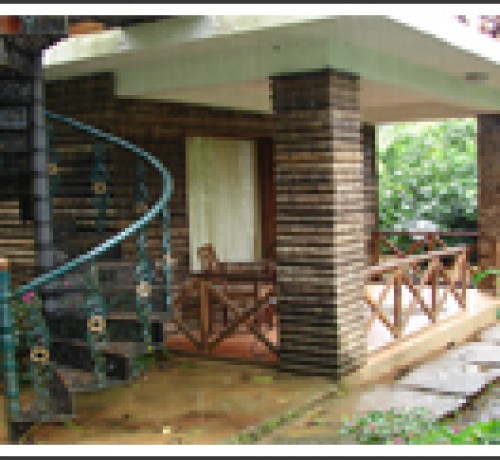 Forest Flower Forest Flower