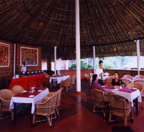 Misty Woods Misty Woods