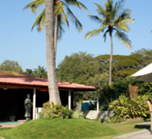 Windflower Resort and Spa