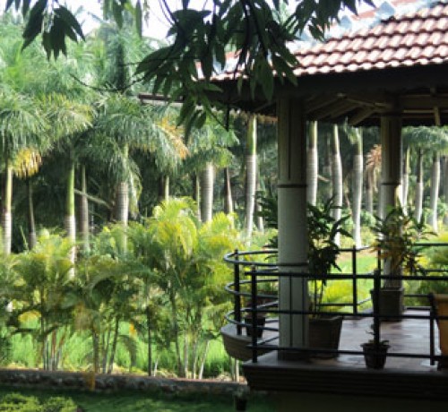 Cauvery Sannidhi for Indian Culture