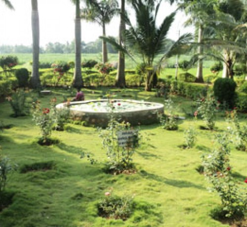 Cauvery Sannidhi for Indian Culture