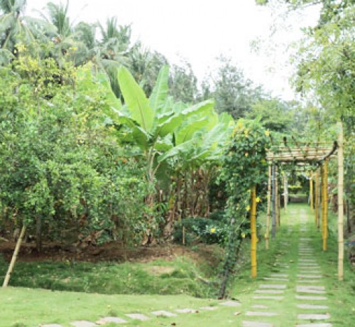 Cauvery Sannidhi for Indian Culture