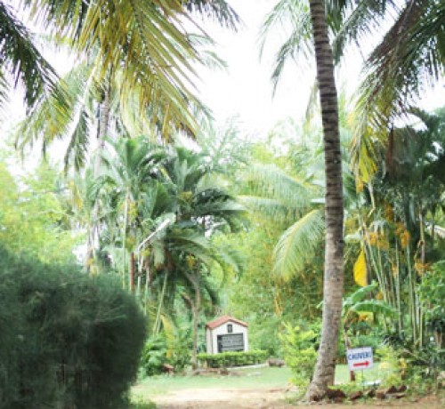 Cauvery Sannidhi for Indian Culture