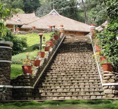 Misty Woods Misty Woods