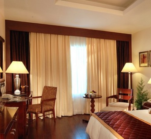 Fortune Select JP Cosmos