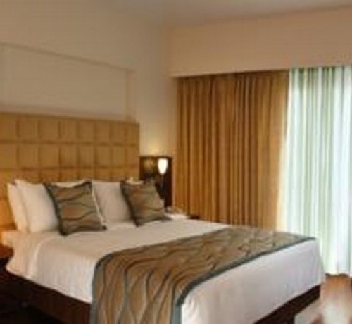 Fortune Select JP Cosmos