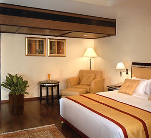 Fortune Park JP Celestial