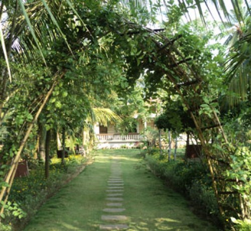 Cauvery Sannidhi for Indian Culture