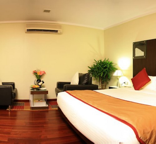 Deluxe King Size Room