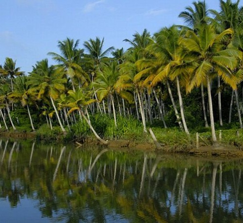 Backwaters