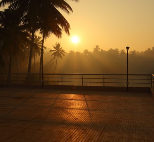 Dawn by the deck