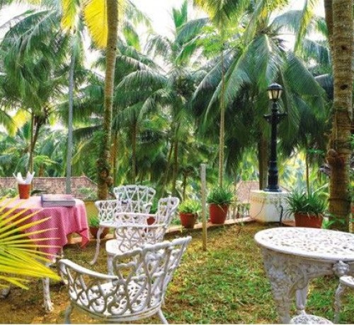 Dining amidst nature