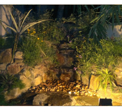 Garden Garden