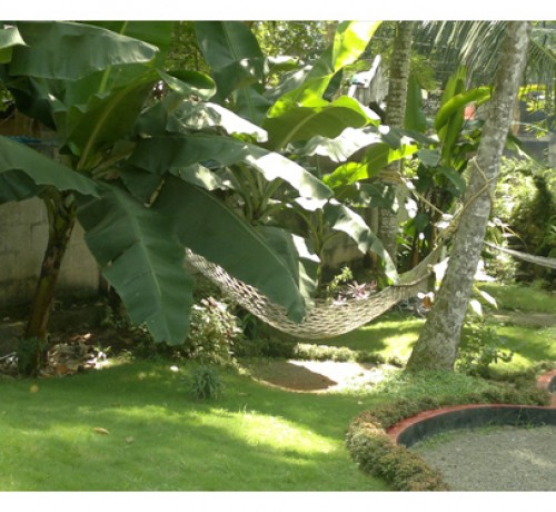 Greenery Greenery