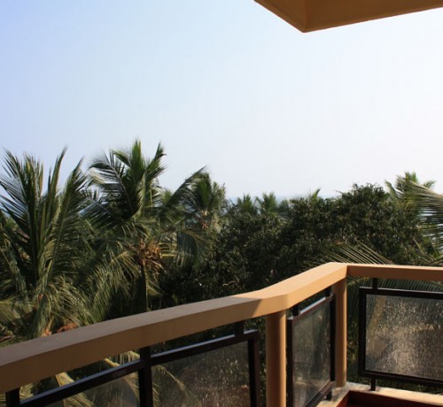 From Terrace From Terrace