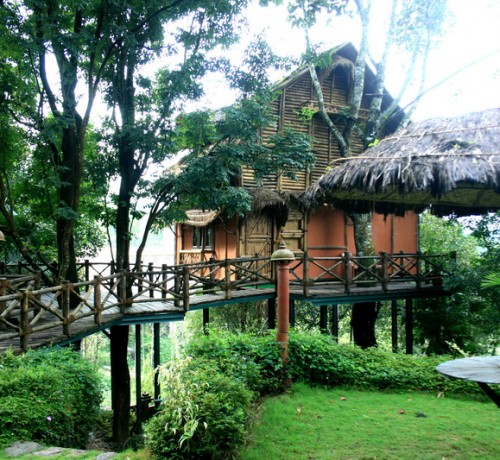 Bamboo Tree House