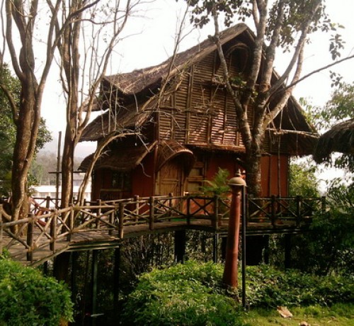 Bamboo Tree House amidst Greenery
