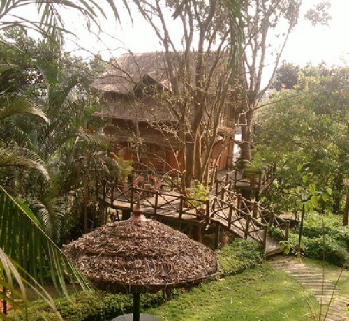 Bamboo Tree House in a serene locale