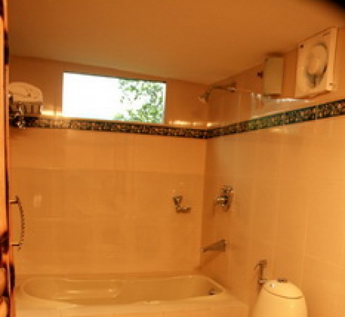 Bathroom In the Bamboo Tree House