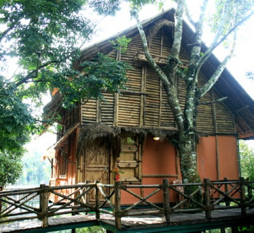 Front View of Bamboo Tree House