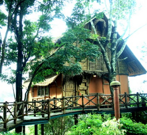 Main View of Bamboo Tree House
