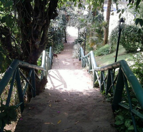Pathway to Cottage