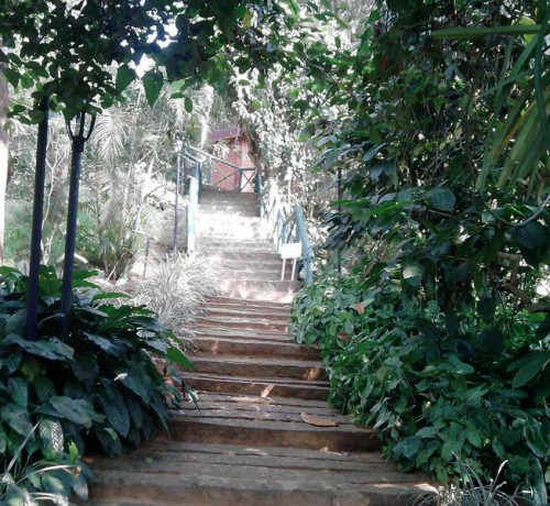 Pathway to Cottage 1