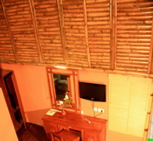 Top view in the Bamboo Tree House