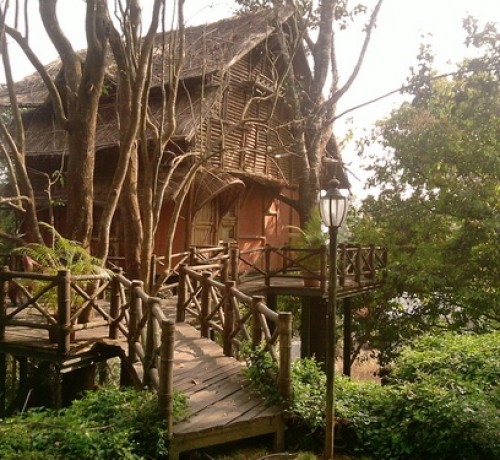 Way to Bamboo Tree House