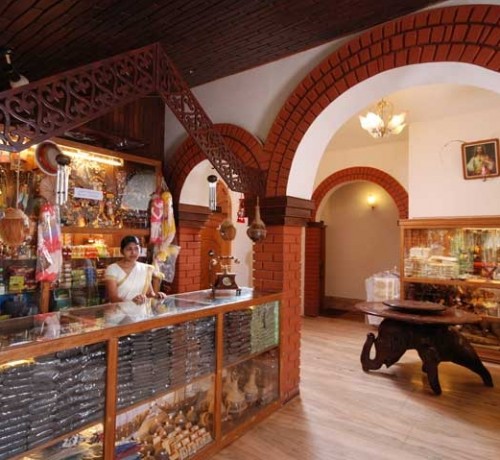 Curio Shop Curio Shop