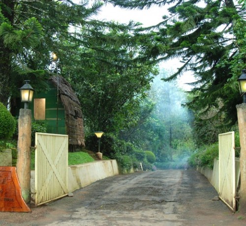 Entrance Entrance
