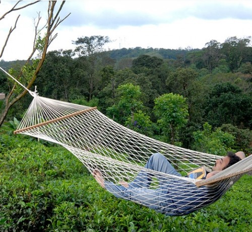 Hammock Hammock