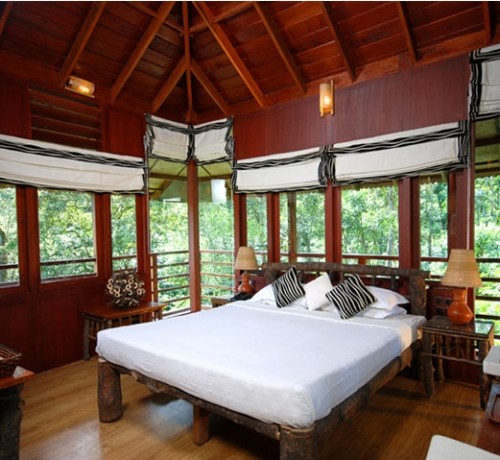 Tree House Interior Tree House Interior