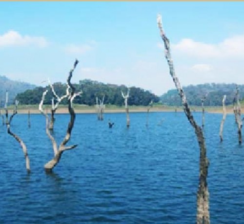 Thekkady Lake View
