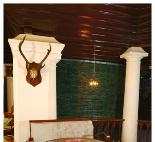 Flowery decoration Flowery decoration