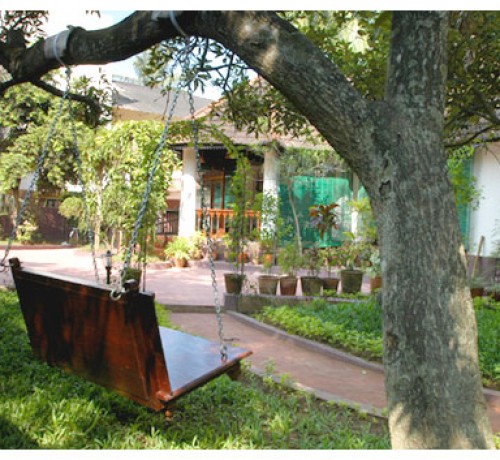 Swing amidst greenery Swing amidst greenery