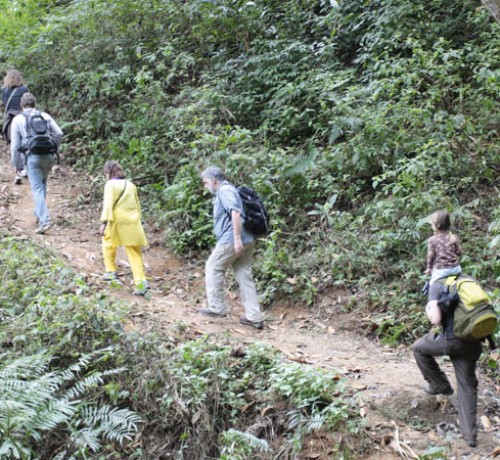 Trekking Trekking