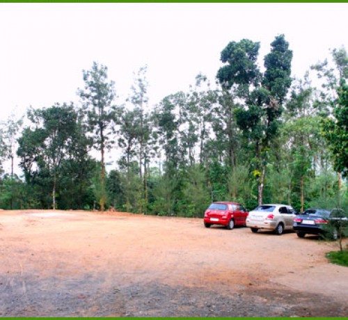 Parking Area beside the Restaurant