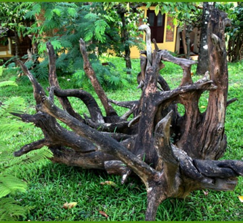 Wood Tree