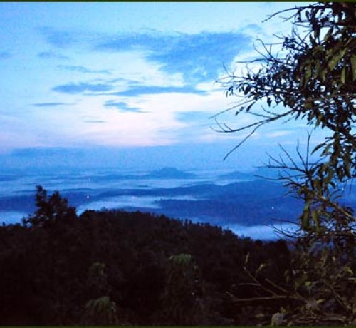 Tree House Sunrise View