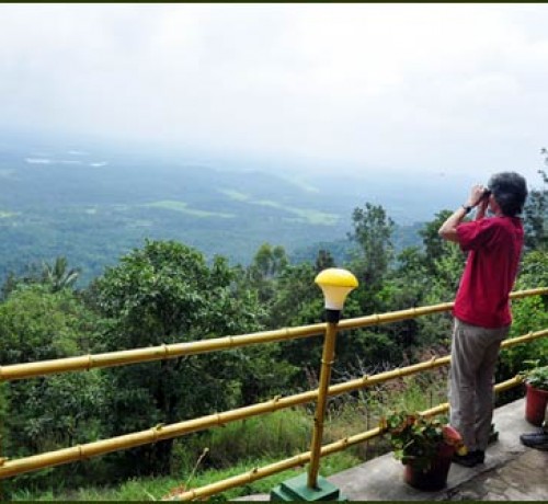 View from Deluxe Cottage