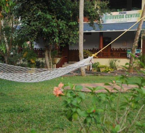 By the Ayurveda Centre