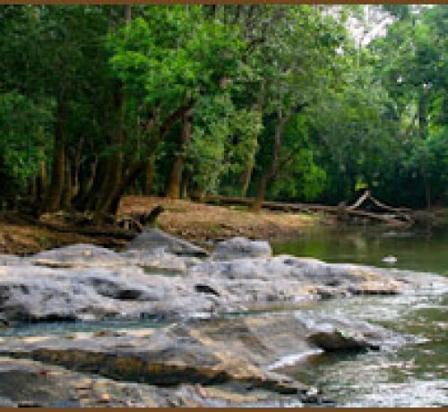 Lake at Olives Homestay