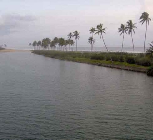Bewitching Backwaters