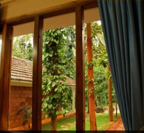 View from Orchid Club Cottage