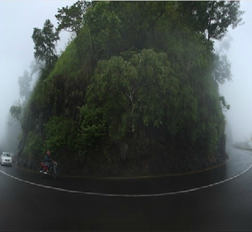 Wayanad Nature Resort