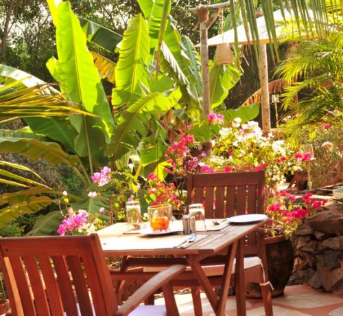 Dining amidst greenery