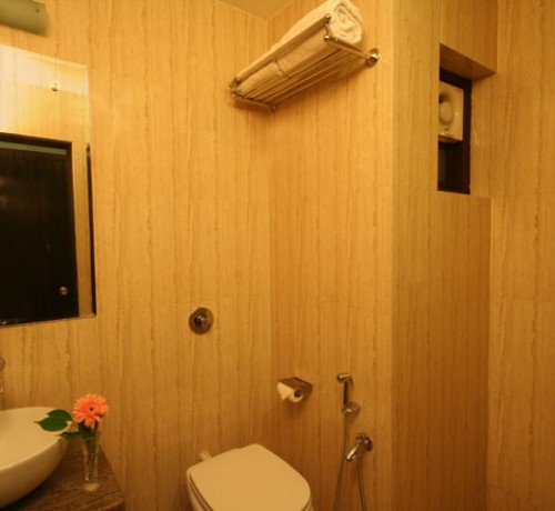 Deluxe washroom